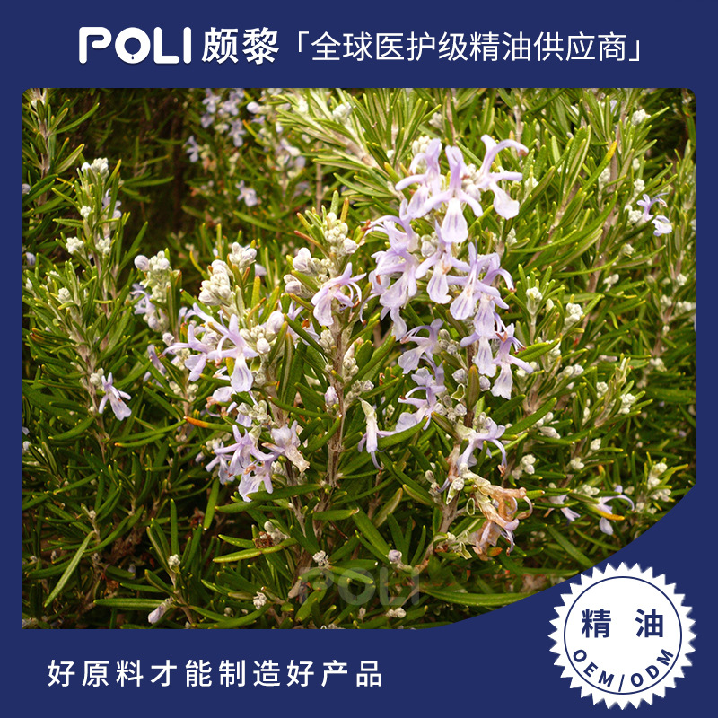 西班牙进口有机马鞭草酮迷迭香精油原料补水按摩精油颇黎进口单方精油