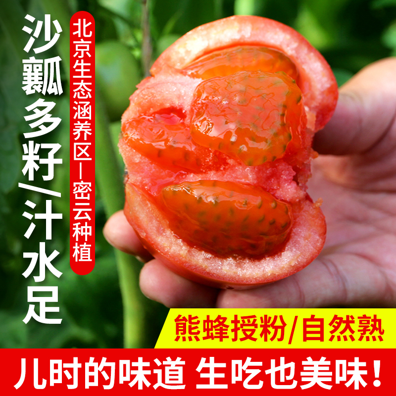 农家安心西红柿/流沙番茄  西红柿  自然生长 不催熟 酸甜多汁 番茄 1斤