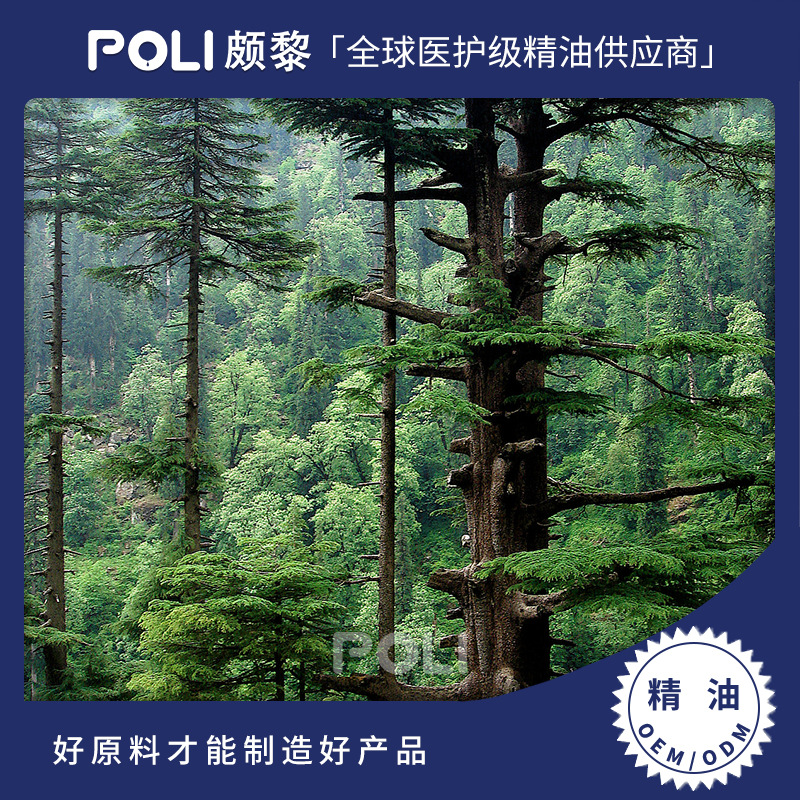 印度进口喜马拉雅雪松精油 美容院按摩单方精油原料 颇黎刮痧精油