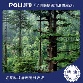 印度进口喜马拉雅雪松精油 美容院按摩单方精油原料 颇黎刮痧精油