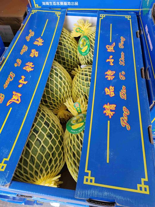 精品特小凤大果98 商品图0