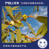 澳大利亚进口薄荷尤加利精油原料单方精油原料批发 颇黎进口天然精油 商品缩略图0