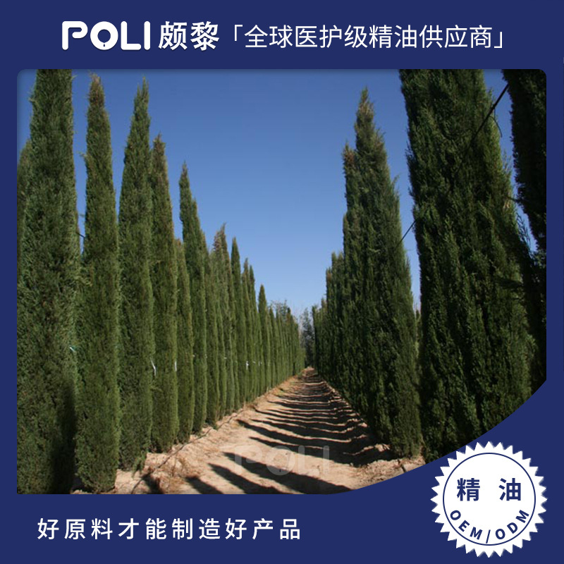 法国进口有机丝柏精油 有机丝柏单方精油原料护肤香薰精油芳疗