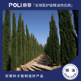 法国进口有机丝柏精油 有机丝柏单方精油原料护肤香薰精油芳疗