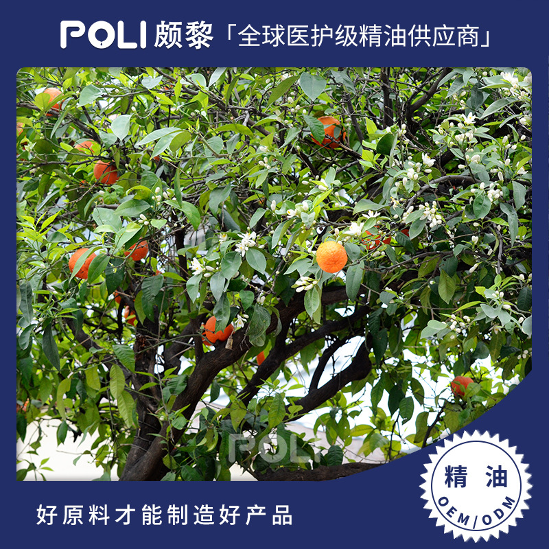 意大利进口苦橙叶精油 按摩护肤精油原料批发 颇黎香氛单方精油