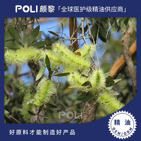 马达加斯加进口绿花白千层精油原料 进口美容院天然精油 颇黎单方精油