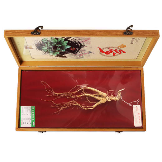 林下山参 人参礼盒滋补养生营养美味长白山特产林下山参礼盒 商品图4