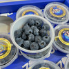 【星辰 蓝莓】云南星辰 杯装 蓝莓，入口脆甜，纯甜款，果粉满满，新鲜颗粒！ 商品缩略图1