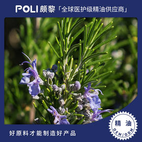 西班牙进口有机樟脑迷迭香精油单方精油原料批发颇黎进口天然精油