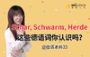 Schar, Schwarm, Herde这些单词你认识吗 商品缩略图0