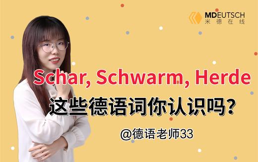 Schar, Schwarm, Herde这些单词你认识吗 商品图0