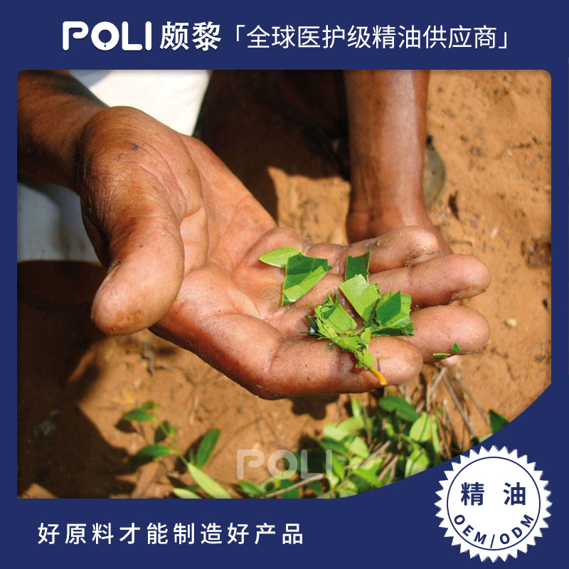 马达加斯加进口野生罗文莎叶精油单方精油原料 颇黎进口精油原料