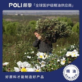 西班牙进口岩玫瑰精油 天然单方精油原料批发 颇黎按摩精油原料