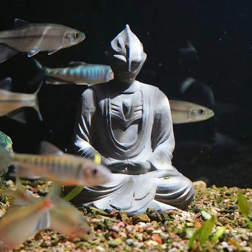 齐天大圣孙悟空造景装饰假山鱼缸水族草缸布景摆件鱼缸客厅家用 商品图6