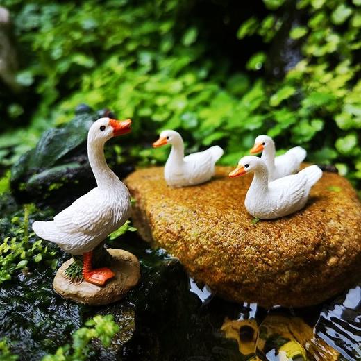 树脂小白鸭盆景水池假山阳台盆栽鸭子摆件微景观苔藓摆设花盆动物 商品图8