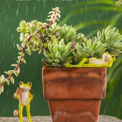 青蛙小摆件盆景多肉假山鱼缸小型家用微景观造景可爱动物装饰品 商品图3