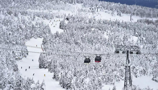 【宝藏雪场】青森·八甲田5日滑雪之旅 | 导滑带你畅滑粉雪天堂 商品图2