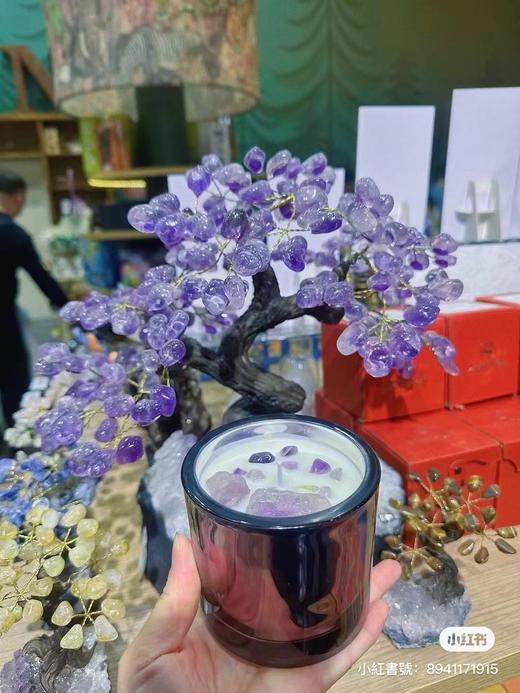 【预售】贝林自然世界X上海自然博物馆限定香薰 商品图4