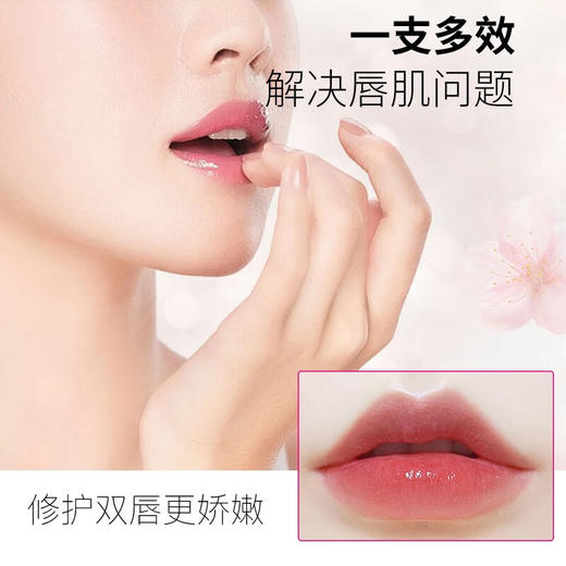 悠莱暖樱宠护唇部精华蜜  12g 商品图5