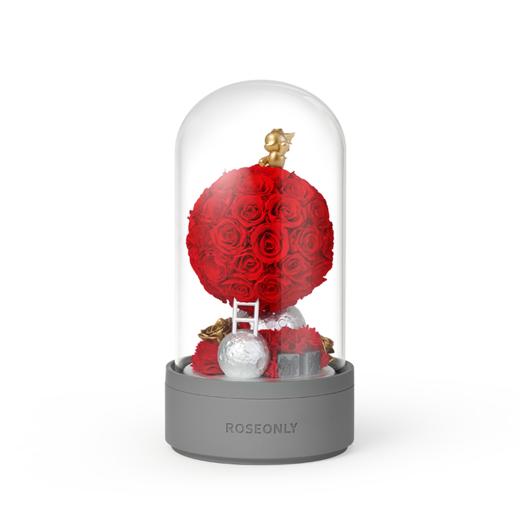 ROSEONLY诺誓 永生玫瑰-水晶之恋系列 甜心兔的玫瑰星球-音乐钟罩 商品图4