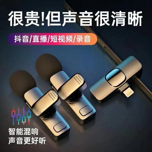 无线领夹式麦克风一拖二直播录音苹果安卓专用户外拍摄收音麦话筒 商品图1