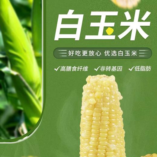 统一零售价13！B/速冻万全糯玉米1袋/4根-约1.3KG 商品图2