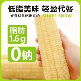 统一零售价13！B/速冻万全糯玉米1袋/4根-约1.3KG