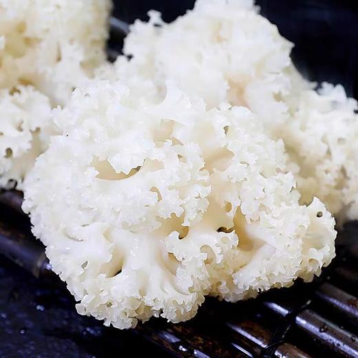 有机绣球菌 鲜 商品图1