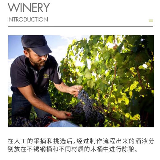 美国进口讴美仙粉黛红葡萄酒750ml 商品图2