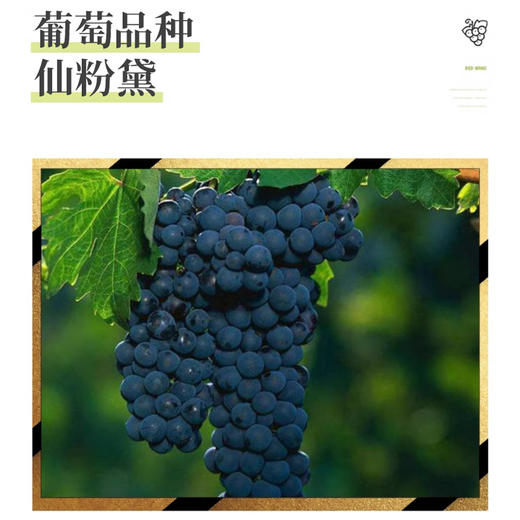 美国进口讴美仙粉黛红葡萄酒750ml 商品图1