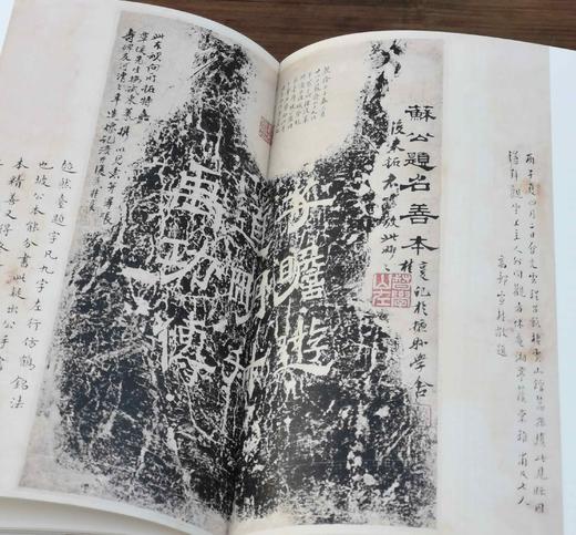 《嘉树堂金石小品》，布面精装，8开，嘉德拍卖公司编，上海书画出版社2021年一版一印，定价658，售价：268元。 商品图13