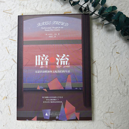 暗流：无意识动机如何支配我们的生活丨一本讲透弗洛伊德无意识理论 商品图1