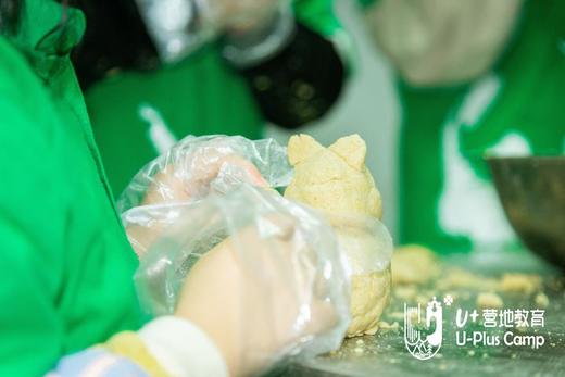 U+成都丨三熊保育义工与三星堆探秘 商品图2