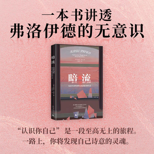暗流：无意识动机如何支配我们的生活丨一本讲透弗洛伊德无意识理论 商品图0