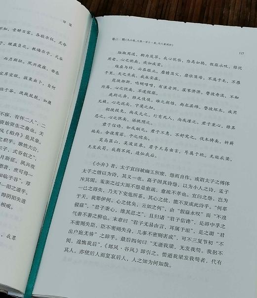 毛边+铃印本：《诗说》 精装32开，潘雨廷著，上海文艺出版社。2023年10月 一版一印
定价：98 售价：78.4 商品图11