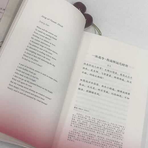 春风十里柔情：汉英对照（许渊冲英译挚美诗词） 商品图3