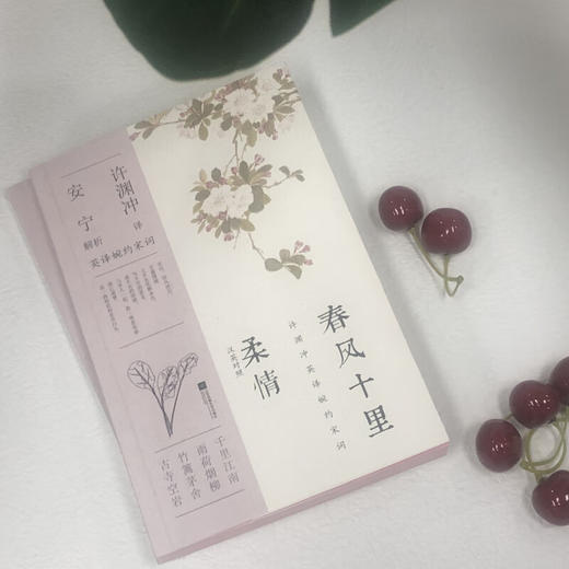 春风十里柔情：汉英对照（许渊冲英译挚美诗词） 商品图1