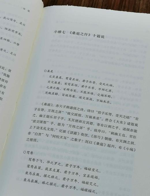 毛边+铃印本：《诗说》 精装32开，潘雨廷著，上海文艺出版社。2023年10月 一版一印
定价：98 售价：78.4 商品图12