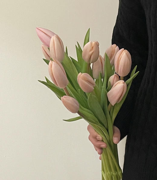 浪漫蜜桃 郁金香 · 花束 商品图1