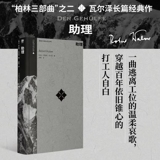 罗伯特·瓦尔泽作品集（函套全四册） 商品图4