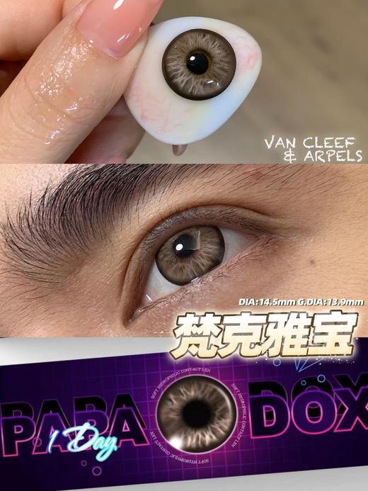 papadox 日抛 梵克雅宝 直径14.5mm着色13.9mm 商品图4