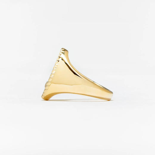 订购10周到｜Yvonne Leon-OVALE-9K黄金 钻石 男士 印章 戒指［法国设计师］ 商品图3