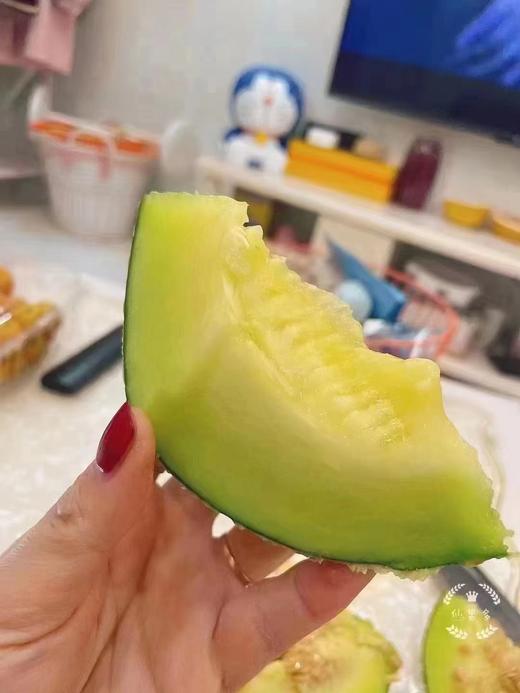 2粒牛3网纹蜜瓜一箱 商品图3
