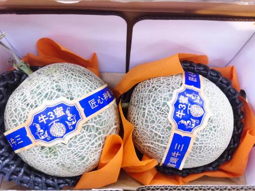 2粒牛3网纹蜜瓜一箱 商品图1