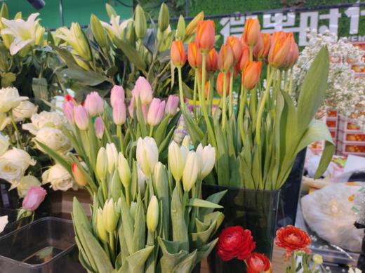 郁金香10支 商品图0