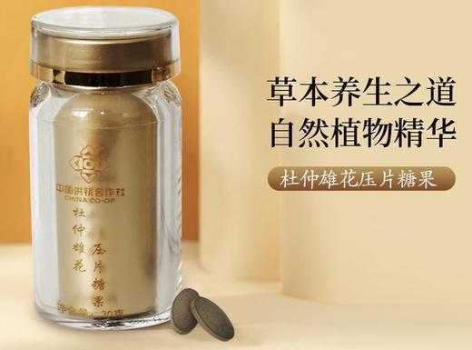 杜仲片单瓶 60片*0.5g/瓶 商品图0