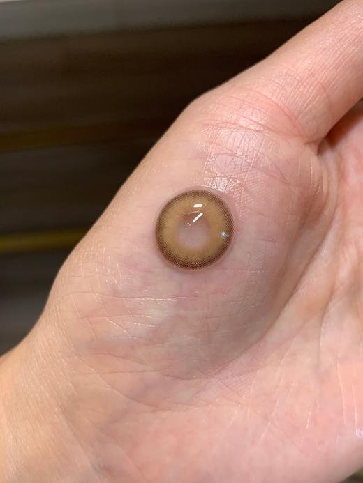 Papadox日抛-啤酒桶10p/盒 商品图4