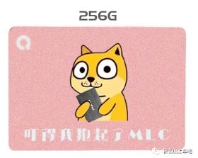 秋名山玩家定制 MLC千分固态 256G 商品图0