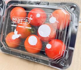 笠先生番茄300g