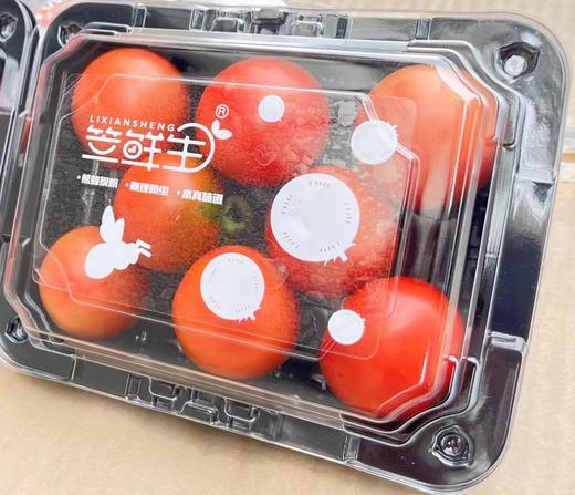 笠先生番茄300g 商品图0